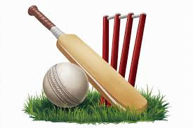 CricketidHub